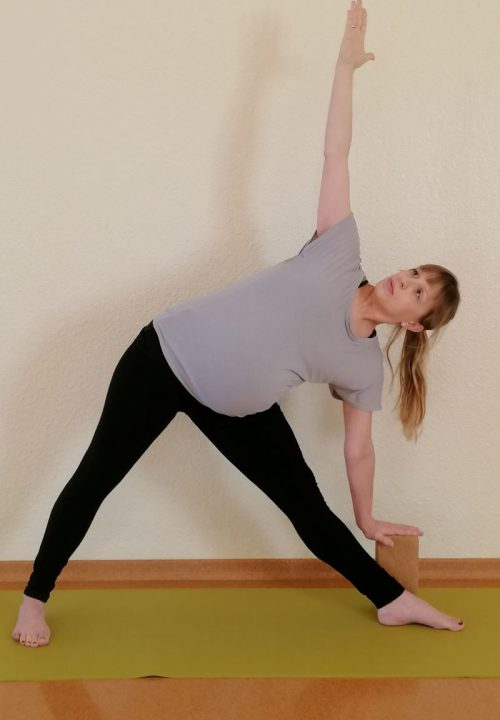 Trikonasana, Homepage